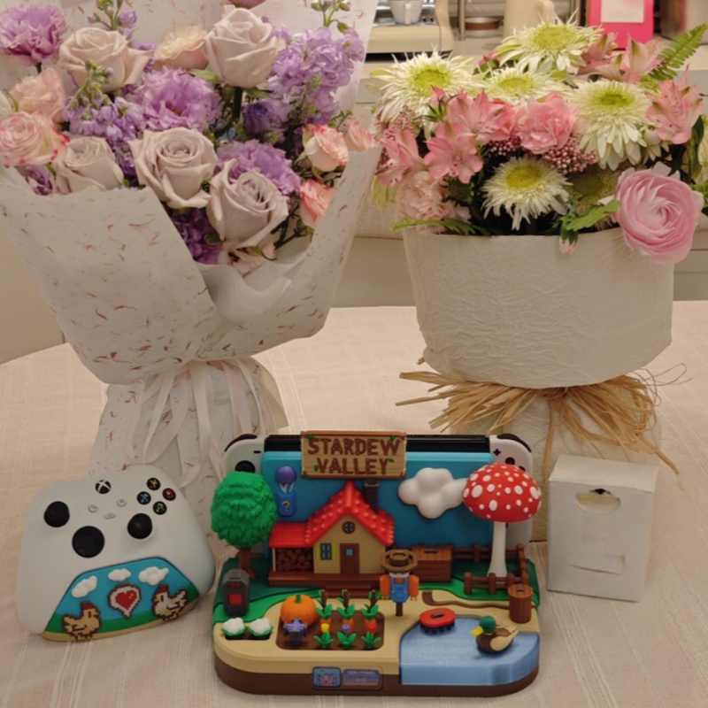 Switch Dock Stardew Valley Far - Gaming Console Setup 评论和价格